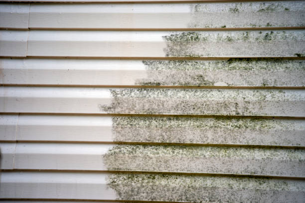 Affordable Siding Repair and Maintenance Services in Hallettsville, TX